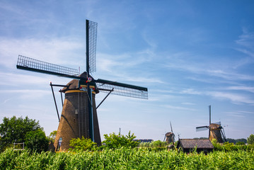 Fototapeta na wymiar view of traditional windmills in Kinderdijk, The Netherlands.