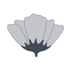 flower with sepal isolated icon