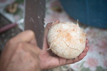 Man cutting coconut