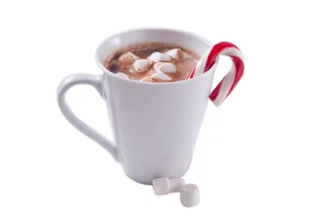 Foto op Aluminium Cup of hot cocoa with marshmallows isolated on white background © zulfiska