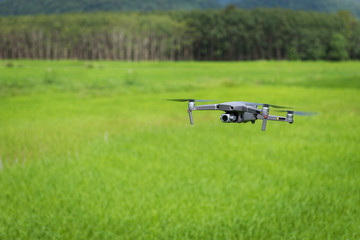 Drone on the rice fields with copy space