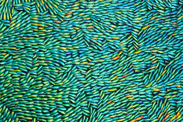 Abstract textured green yellow background for textile print for bed linen, jacket, package design, fabric and fashion concepts.