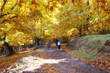 Fototapeta premium Hikers walking around a park in Autumn season in Spain
