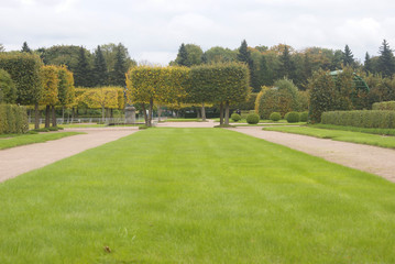Geometry of the autumn park