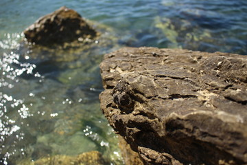 sasso