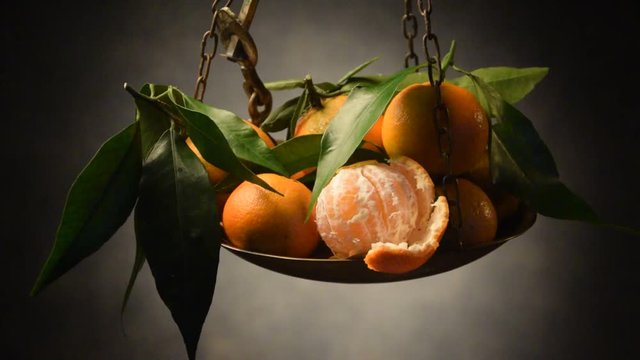 Citrus × Clementine Klementina ft71110148 Mandarini Agrumi 克里曼丁红橘 video Clementina Frutta קלמנטינה Клементин نارنگی یافا Frucht