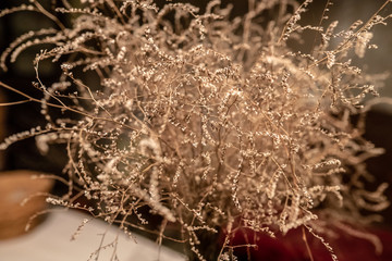 naturaleza abstracta antigua