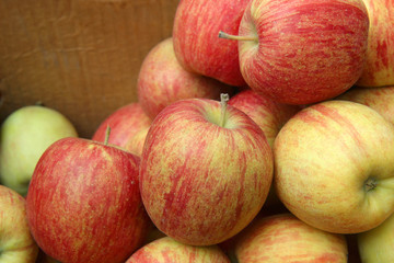 red apples in kraft box