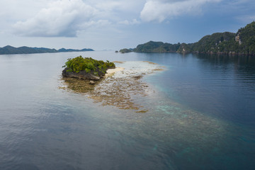 Shallow Corals Surround a Remote Tropical Island in Raja Ampat