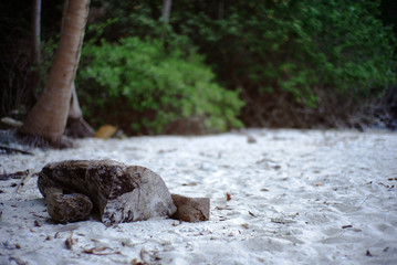 The legs of a woman stand on a white sand beach in Thailand.