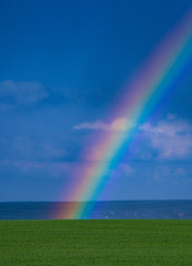 Regenbogen