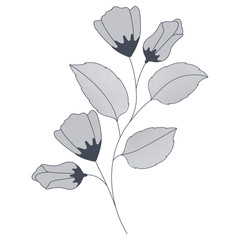 flowers with branches and leaves isolated icon