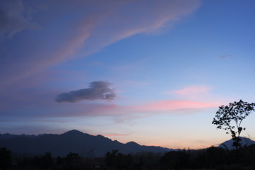 Silhouettes of trees on the background of colorful sky at sunset.