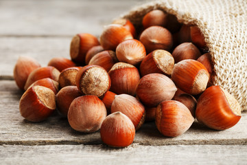 Hazelnuts in a cover, poured out from a bag from burlap on a gray wooden table