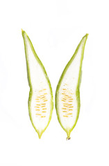 Angled loofah Close up