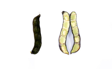 Bitter gourd Close up