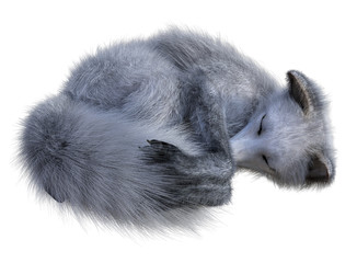 Arctic fox taking a nap, isolated on white background. 3d rendering
