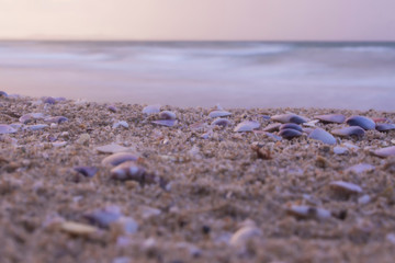 Close-up Sand and Shells on the beach in the sunset, nature background