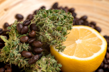 marijuana cannabis bud