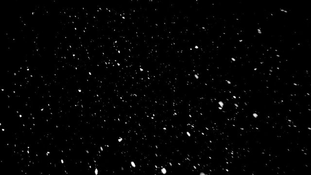 Emitted particles is fall down Wind change the direction Slow motion video Left lighted