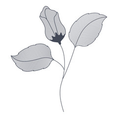 flower with branches and leaves isolated icon
