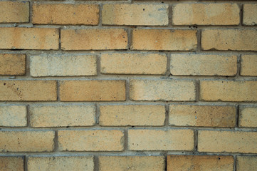 brick wall in daylight