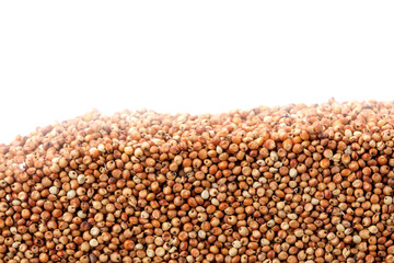 Layer of kidney beans in section isolated on white background. Agriculture poster concept