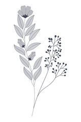 flowers with branches and leaves isolated icon