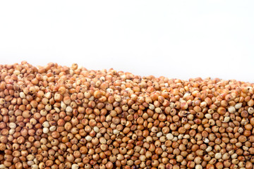 Layer of kidney beans in section isolated on white background. Agriculture poster concept