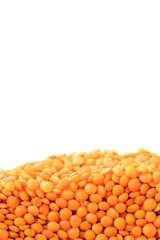 Layer of haricot beans in section isolated on white background. Agriculture poster concept