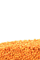 Layer of haricot beans in section isolated on white background. Agriculture poster concept