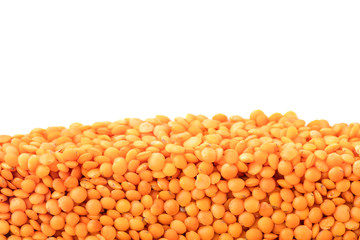Layer of haricot beans in section isolated on white background. Agriculture poster concept