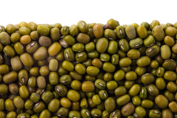 Layer of soya beans in section isolated on white background. Agriculture poster concept