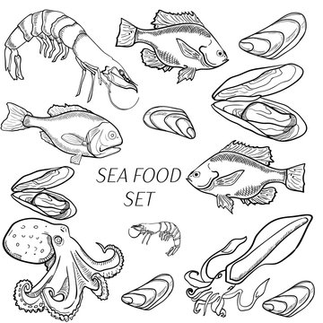 Set of sea food products