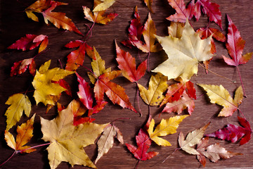 branch red and yellow autumn leaves on brown wooden background top view