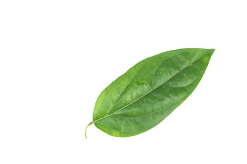 Bai-ya-nang Close up