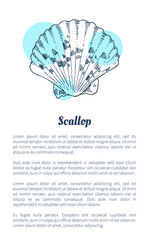 Scallop Marine Creature Poster with Text Sample