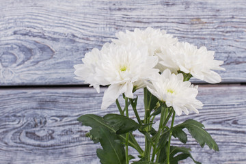 Obraz premium White chrysantemum flowers on wooden background. Bunch of beautiful flowers with green leaves. Holiday greeting card.