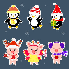 New Year and Christmas card. A set sticker of three piglets and three penguins is typical in different hats and poses in winter. Gift box, fairy butterfly, hot drink. Cartoon style, vector