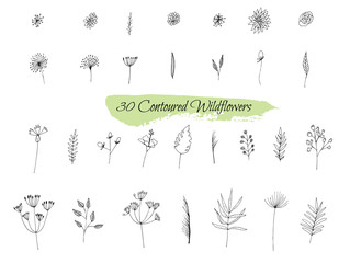 A collection of handmade sketches with plants. Monochrome image of wild flowers and herbs. Black and white elements for coloring. illustration.