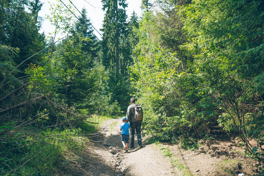 father with little son walking by forest trail