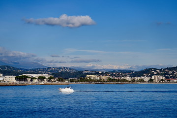 Fototapeta premium Cannes vu de la mer