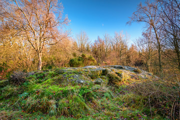 Routin Linn Sandstone Outcrop, a prehistoric Bronze Age rock art on the stone outcrop in northern Northumberland, known as both Roughting Linn and Routin Lynn
