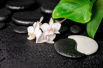 Naklejka na ściany i meble spa composition of zen and Yin-Yang stones, white orchid