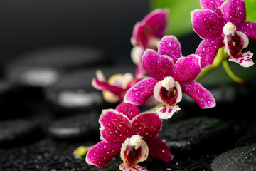 Fototapeta na wymiar spa still life of zen massaging stones, red orchid
