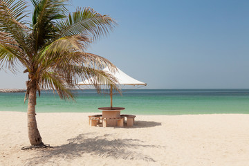 Fototapeta na wymiar Tropical beach with palm and bright sand
