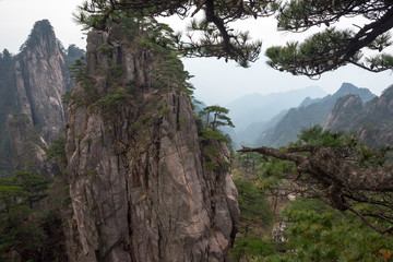 Rest under a pine tree in the mountains of Huashan