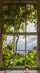 Blick auf einen bewölkten Himmel  sowie ins Grüne und in die Natur aus einem Fenster mit Fensterbrett mit Vase