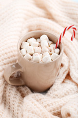 Fototapeta na wymiar Cappuccino with marshmallows and candy cane