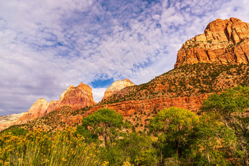 Zion National Park